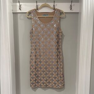 Embellished Sequin Shift Dress